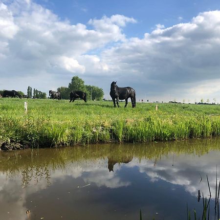 Vakantiehuis In Friesland Voor De Hele Familie Huns 外观 照片