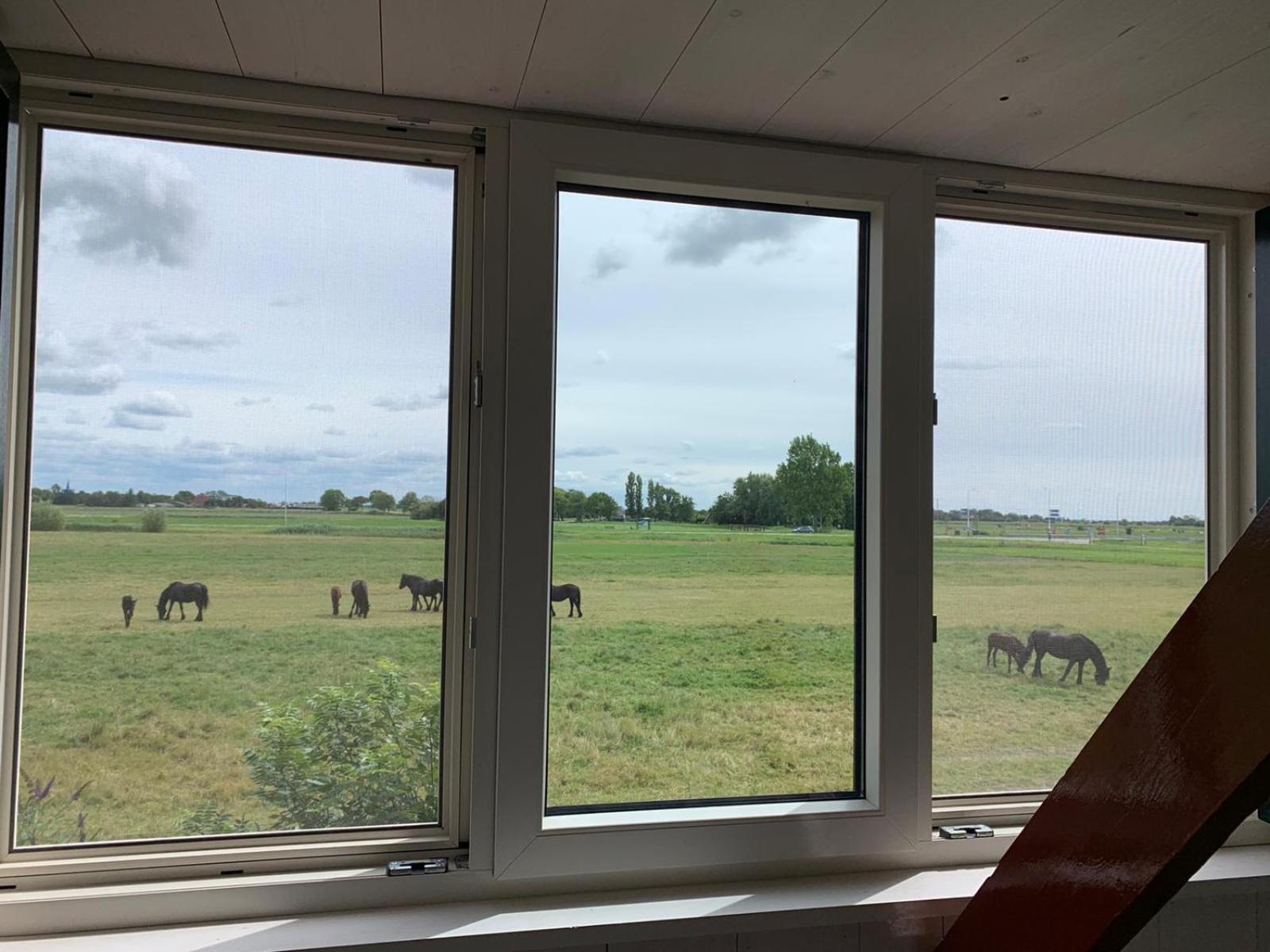 Vakantiehuis In Friesland Voor De Hele Familie Huns 外观 照片