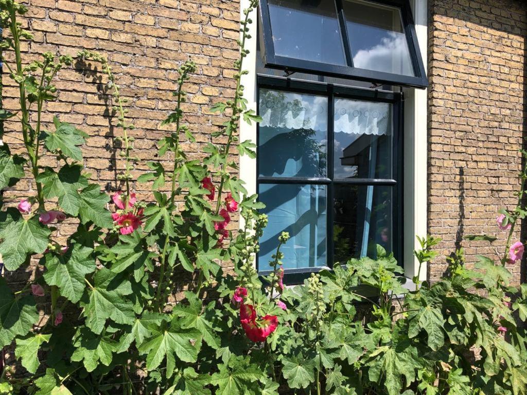Vakantiehuis In Friesland Voor De Hele Familie Huns 外观 照片